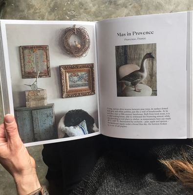 The Foraged Home by Joanna Maclennan
