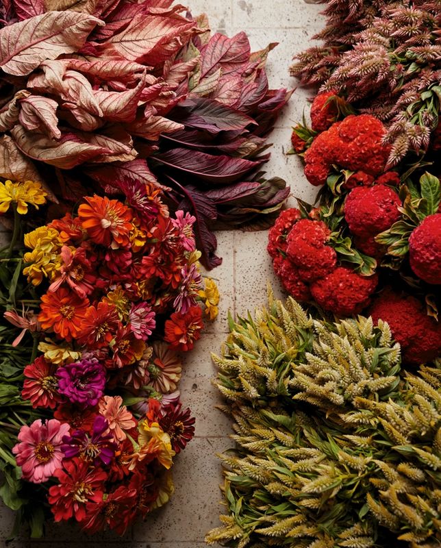 Designing with Dried Flowers by Hannah Muller