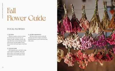 Designing with Dried Flowers by Hannah Muller