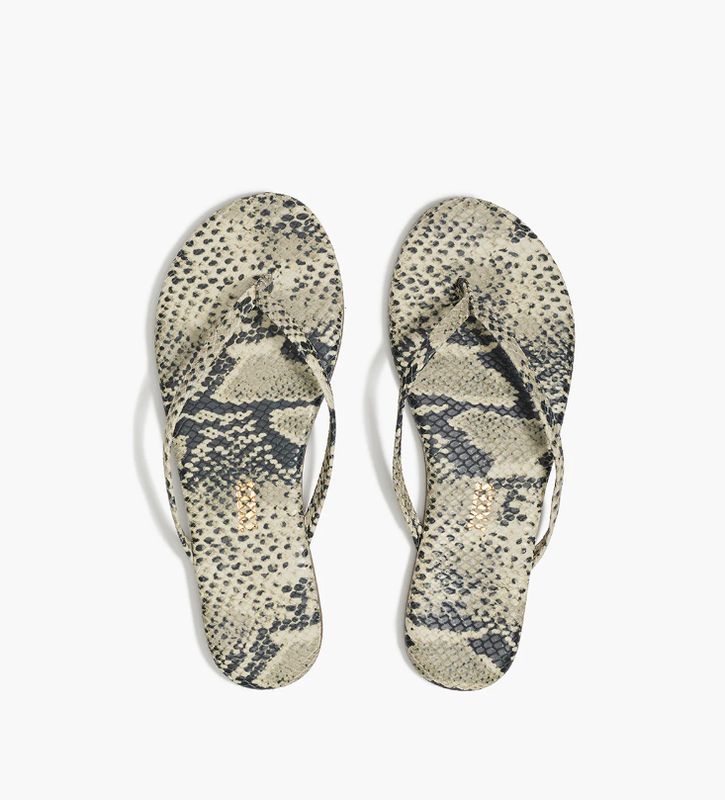 Tkees Studio Exotic in Sandsnake