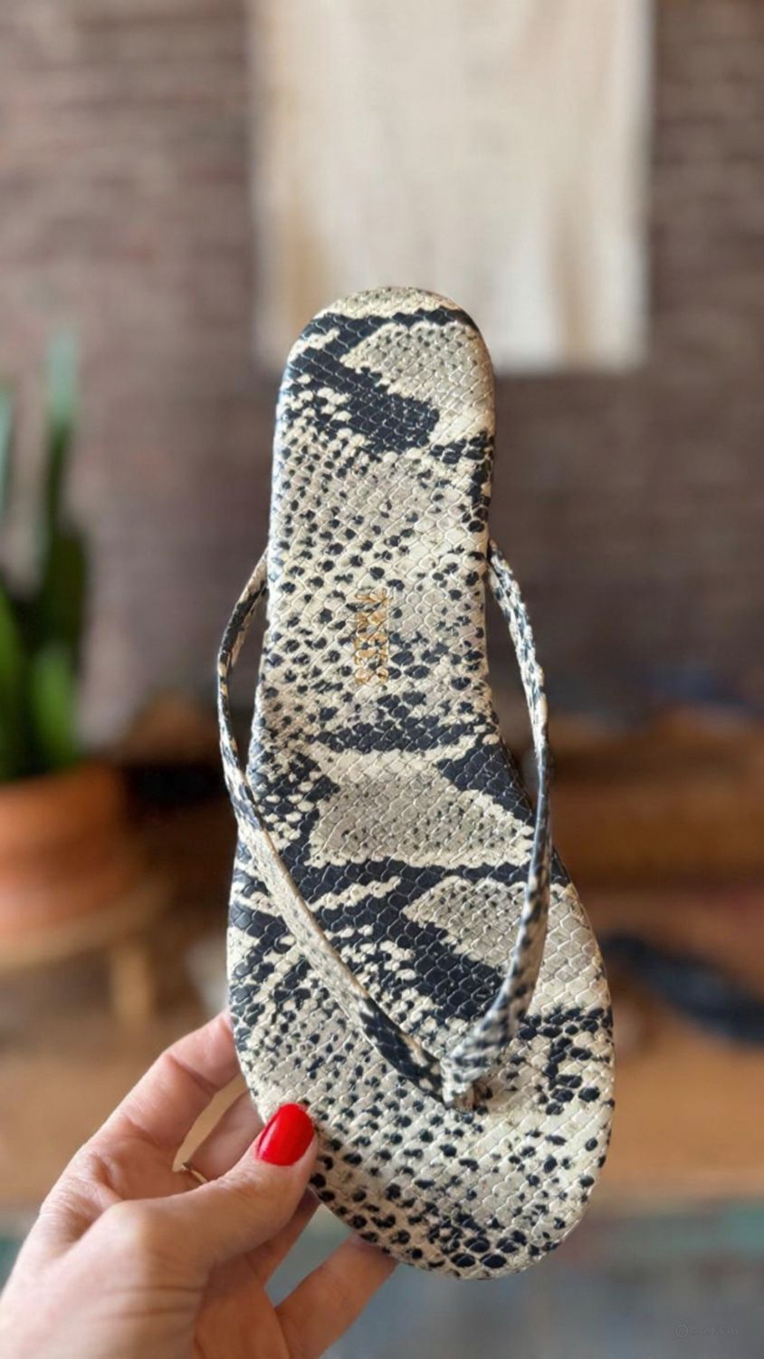 Tkees Studio Exotic in Sandsnake