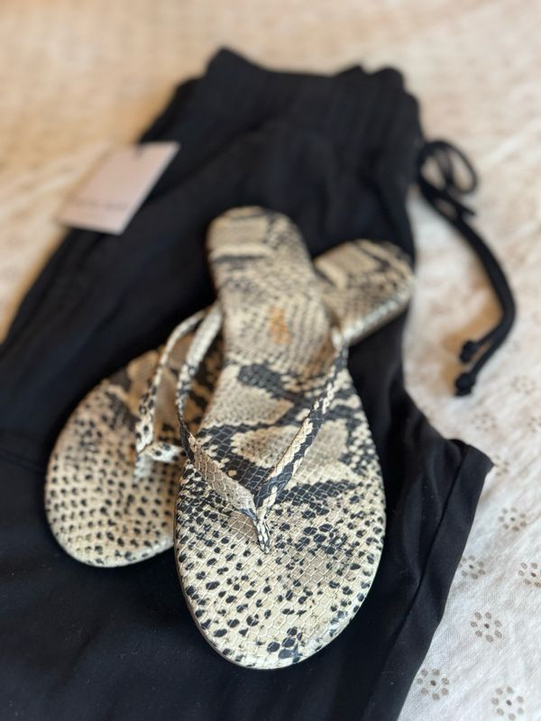 Tkees Studio Exotic in Sandsnake