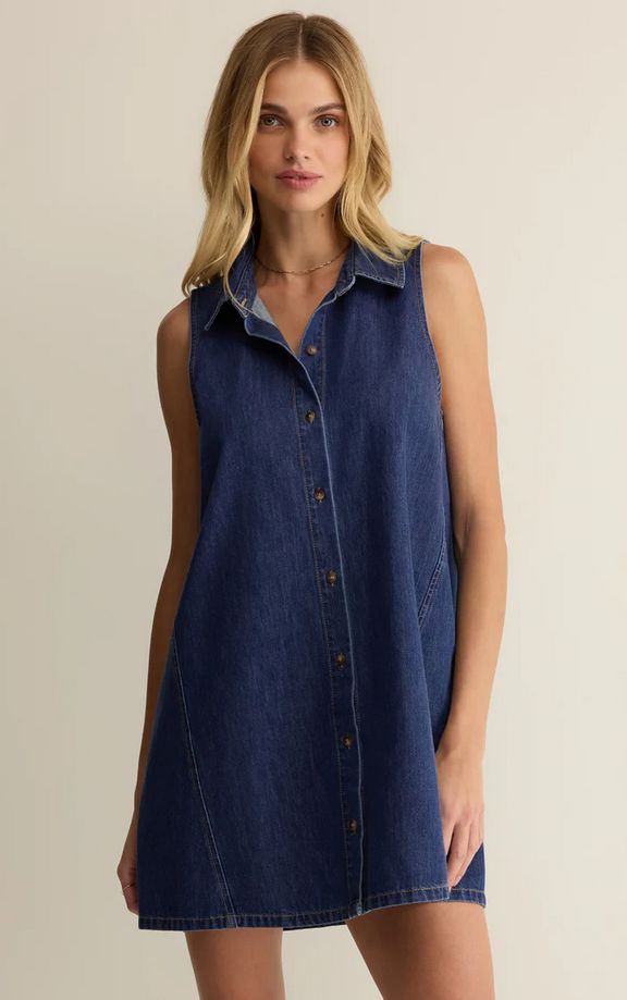 Z Supply New Day Denim Mini Dress