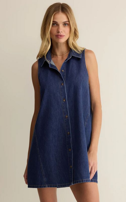 Z Supply New Day Denim Mini Dress