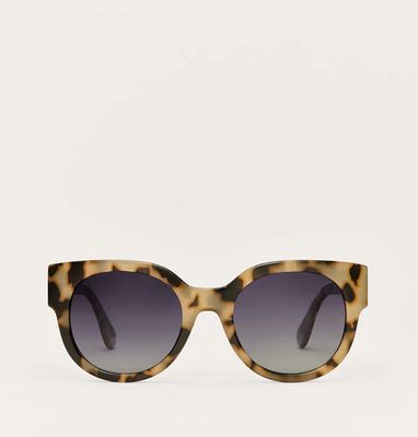 Z Supply Lunch Date in Dark Tort Gradient Polarized