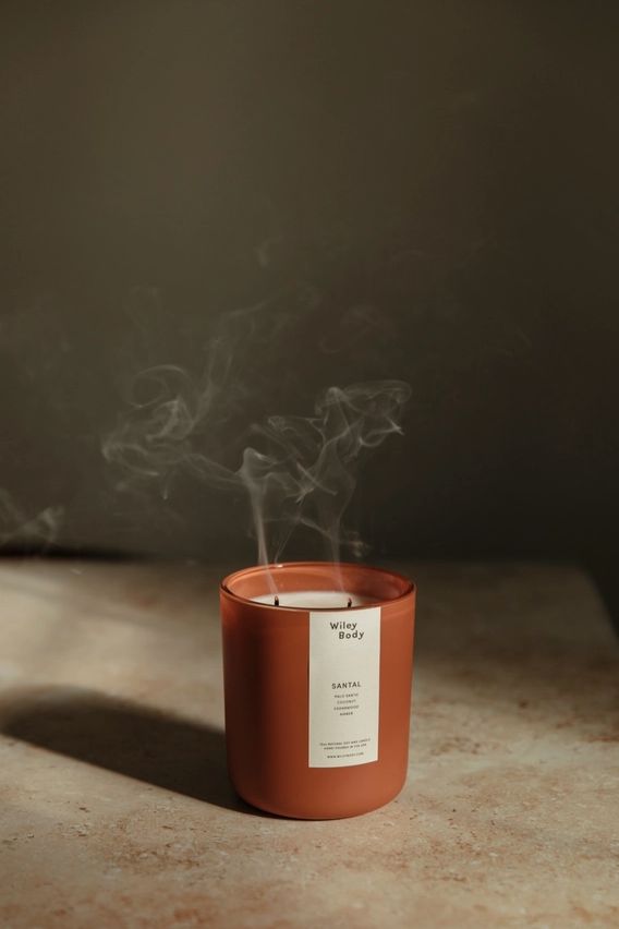 Wiley Body The Candle 100% Soy Wax in Santal 
