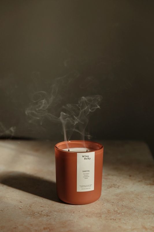 Wiley Body The Candle 100% Soy Wax in Santal 