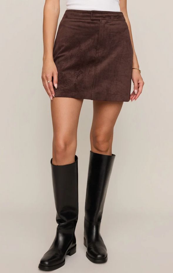 Z Supply Perri Suede Mini Skirt 