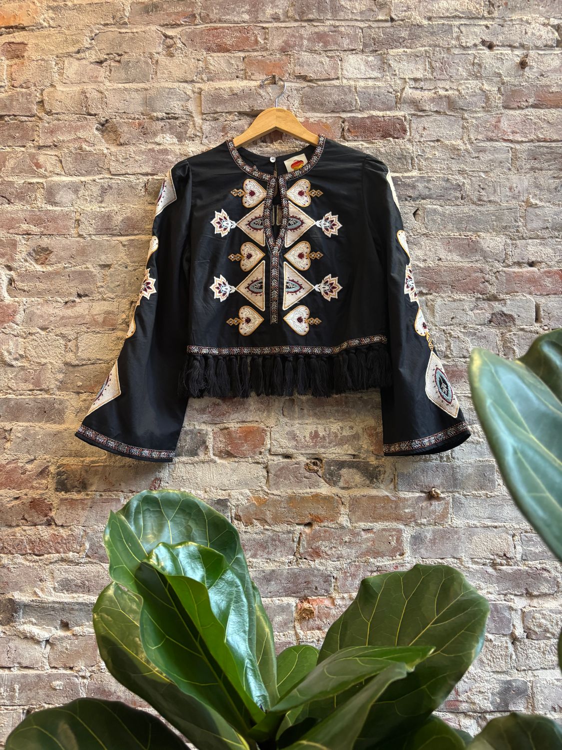 Farm Rio Black Embroidery Long Sleeve Crop Top