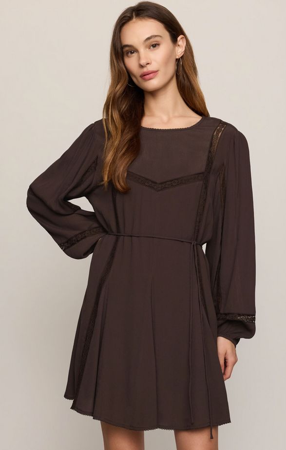 Z Supply Wilde Mini Dress