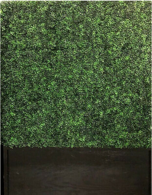 Screen, Stanchions, Hedges, Easels &amp; Coat Rack Collection