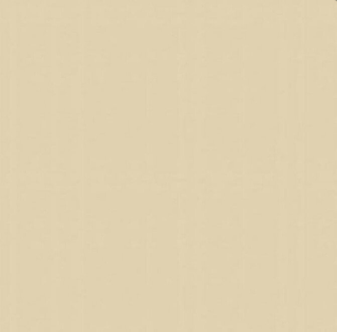 Beige Polyester