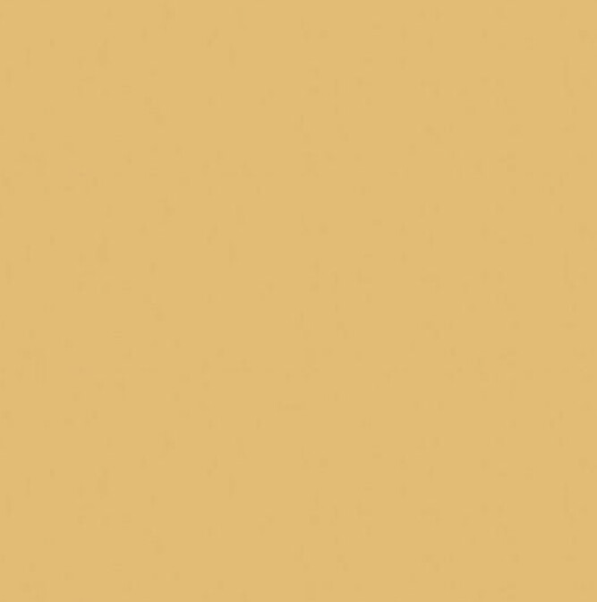 Camel Spun Polyester