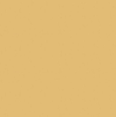Camel Spun Polyester