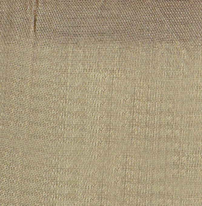 Champagne Gold Shimmer