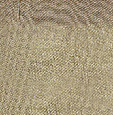 Champagne Gold Shimmer