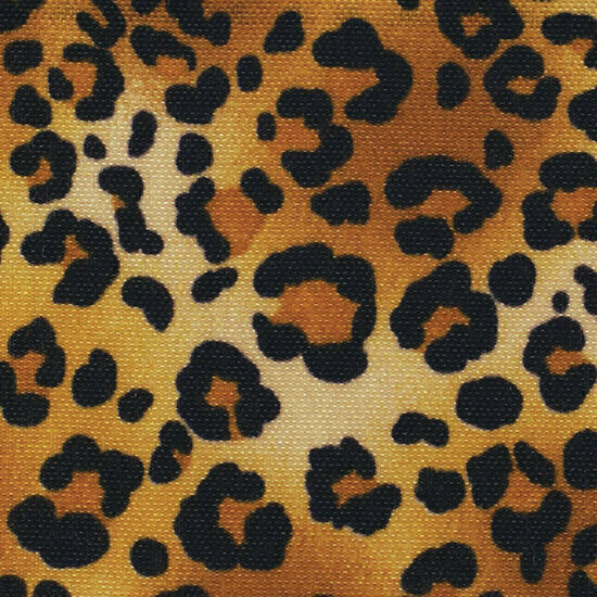 Leopard Animal