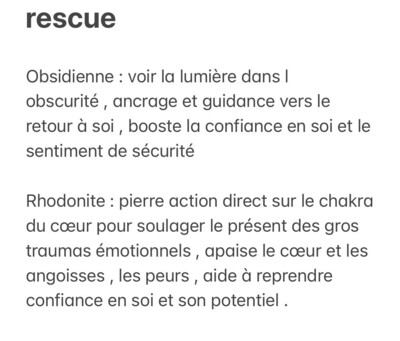 Synergie Rescue