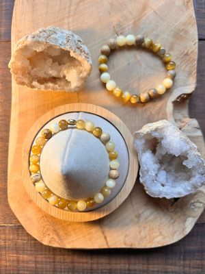 Synergie Soleil d'hivers