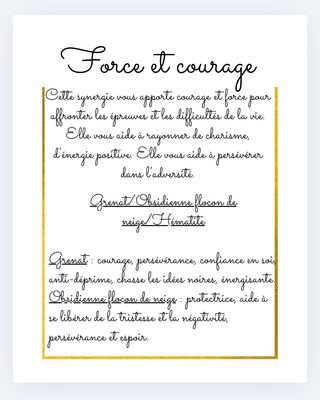 Le Duo Force et courage