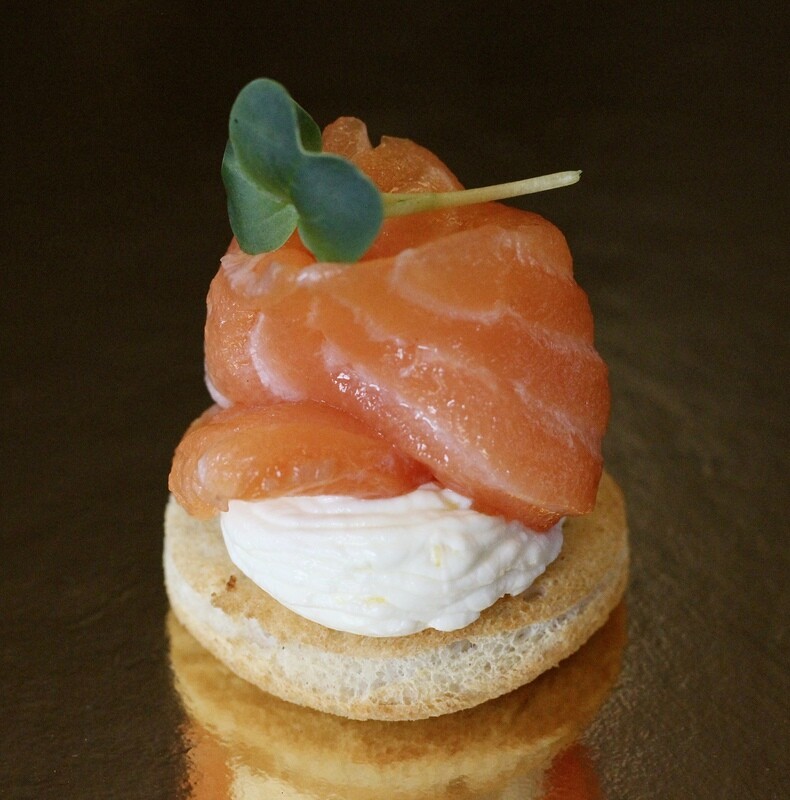 Salmon