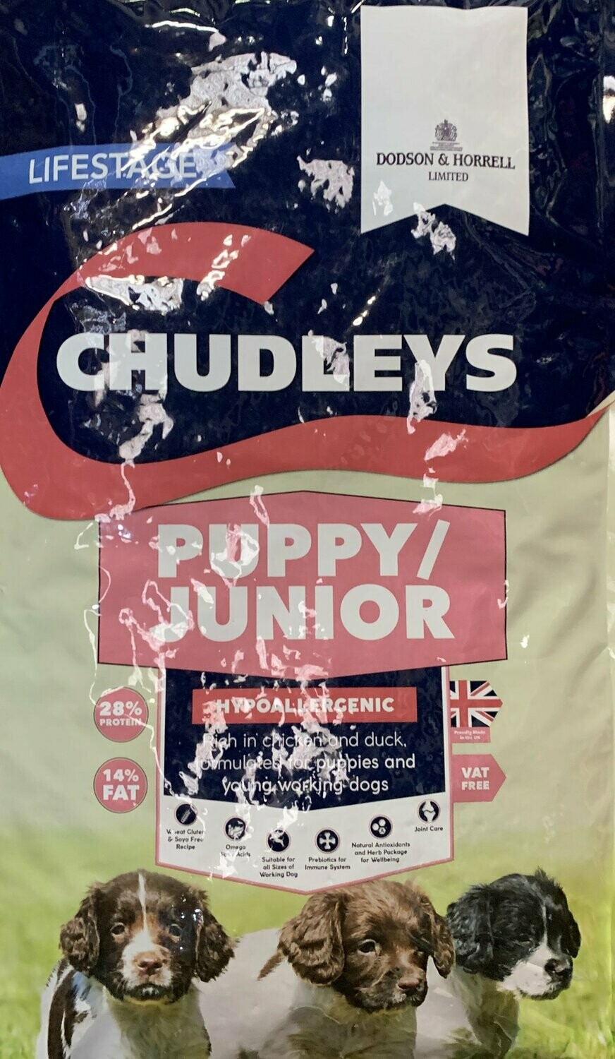 chudleys puppy junior
