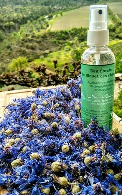 Eau florale de Bleuet des champs BIO (spray - 100 mL)