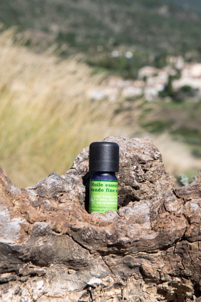 Huile essentielle de Lavande fine sauvage BIO 5 mL