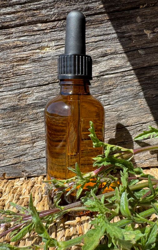 Teinture Verveine Officinale 50mL