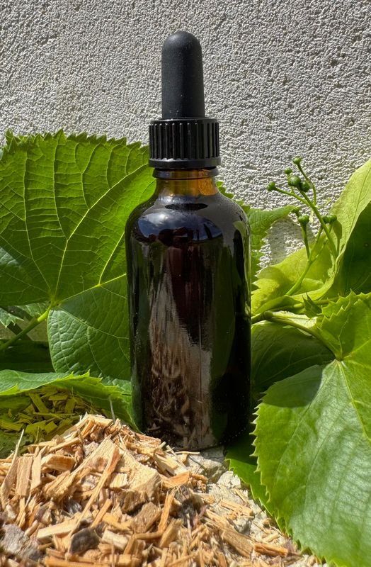 Teinture Aubier de tilleul 50mL