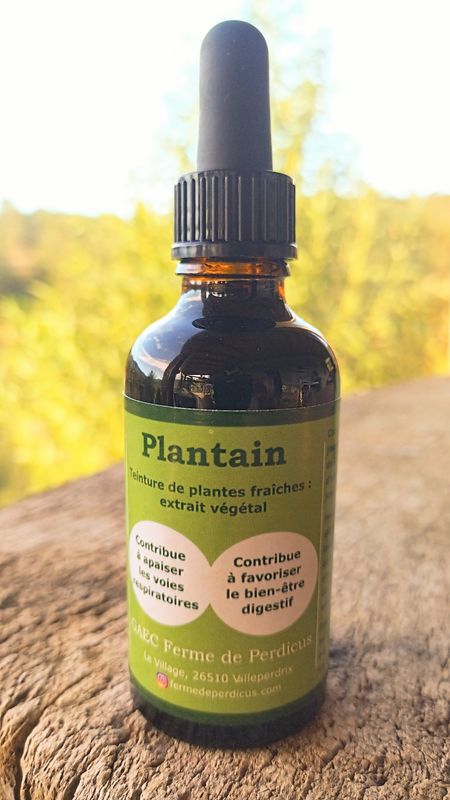 Teinture Plantain 50mL