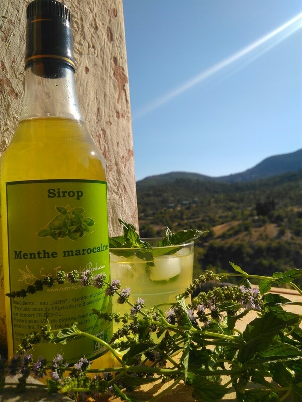 Sirop Menthe marocaine BIO 50cL