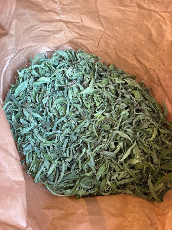 Verveine menthe BIO 30g ou 100g