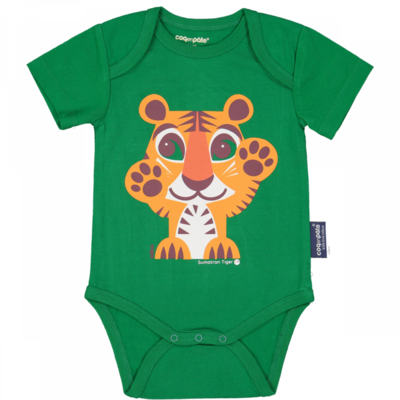 Body - Tigre