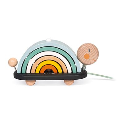 Tartaruga arcobaleno