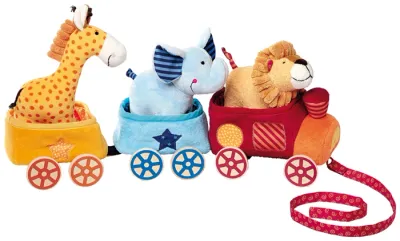 Treno safari