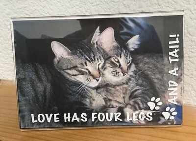 "Love Has Four Legs and a Tail" - Acrylic Frame