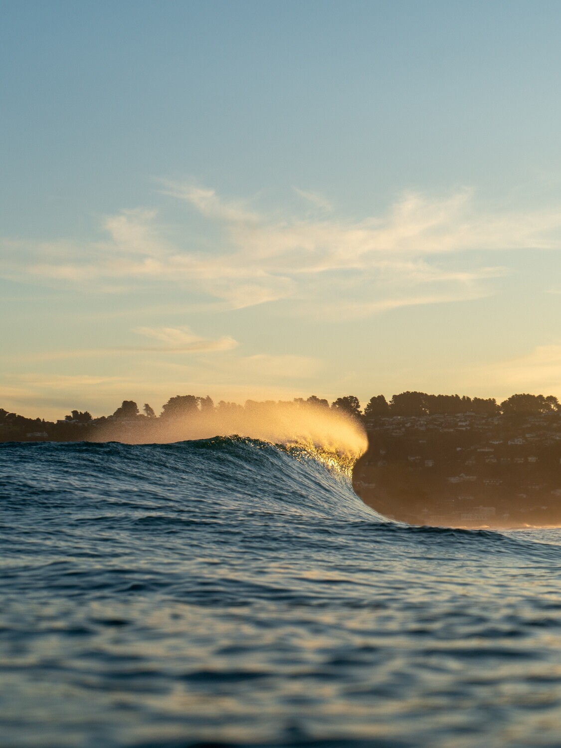 Golden Spray Golden Spray