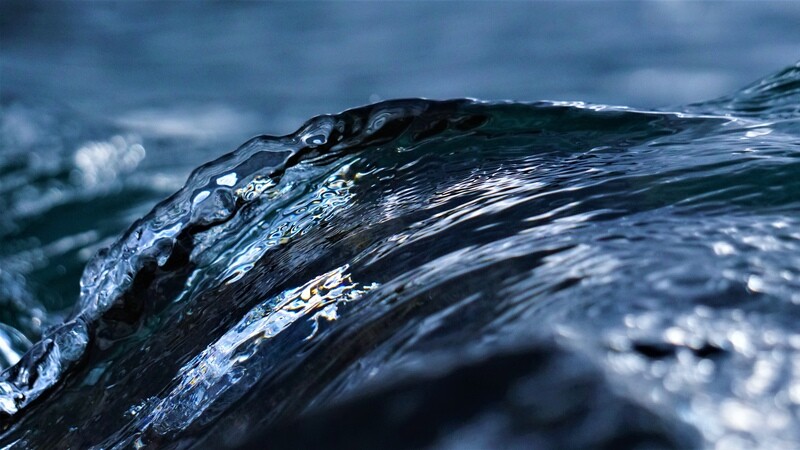 Paua