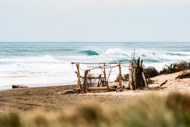 Driftwood Shack