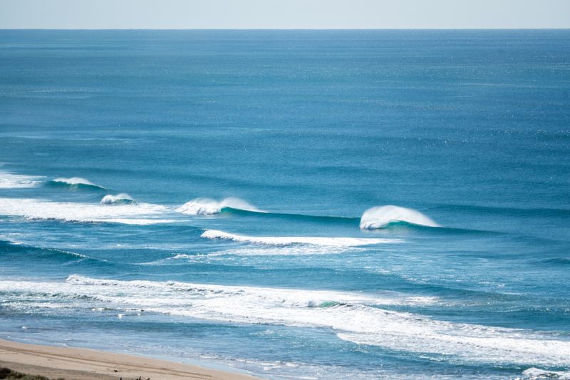 Summer Surf