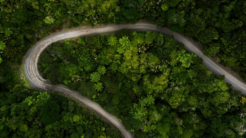 Native Roads