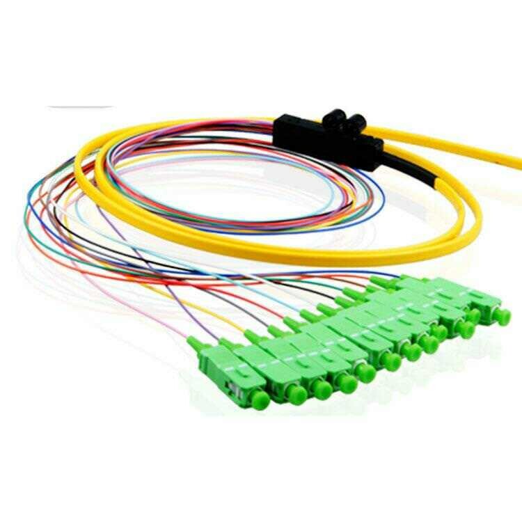 12 Fiber Singlemode 250um Ribbon Pigtails