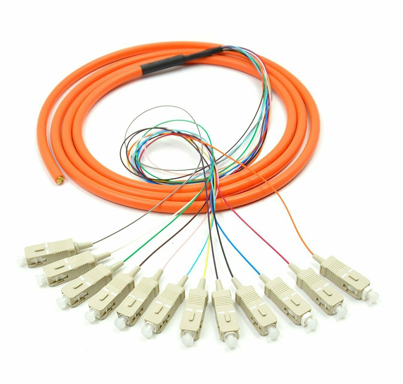 12 Fiber OM1 250um Bundle Pigtails