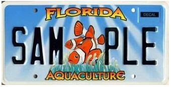 Aquaculture Florida Specialty License Plate