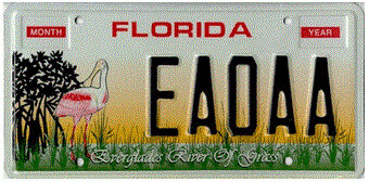 Everglades River of Grass Florida Specialty License Plate