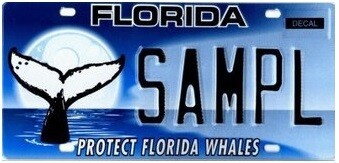 Protect Florida Whales Florida Specialty License Plate