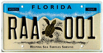 Helping Sea Turtles Survive Florida Specialty License Plate