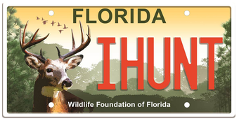 Wildlife Foundation Of Florida Specialty License Plate