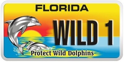 Protect Wild Dolphins Florida Specialty License Plate